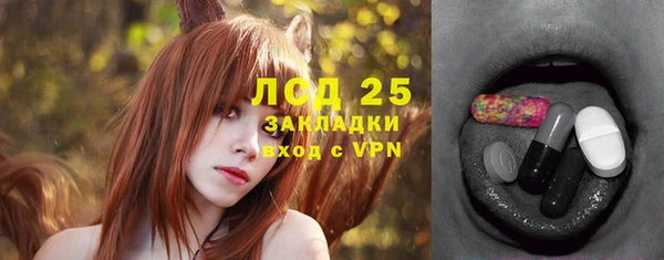 индика Карталы