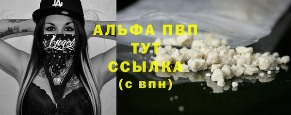 индика Карталы