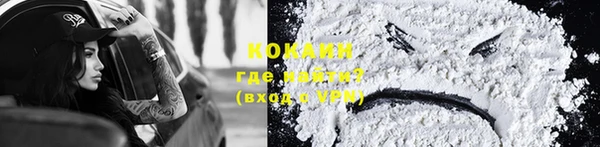 индика Карталы