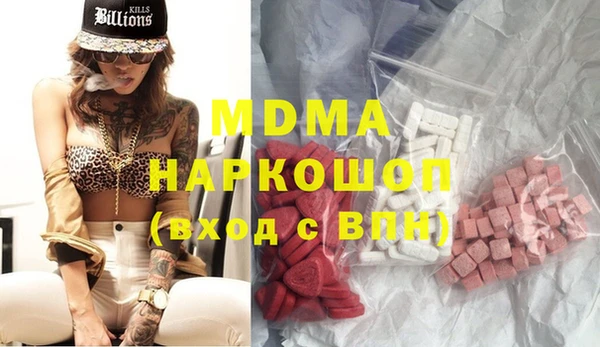 индика Каменногорск