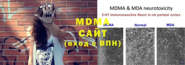 стафф Хадыженск