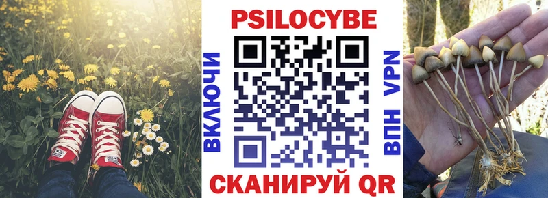 цена   Энем  маркетплейс какой сайт  Псилоцибиновые грибы ЛСД  omg зеркало 